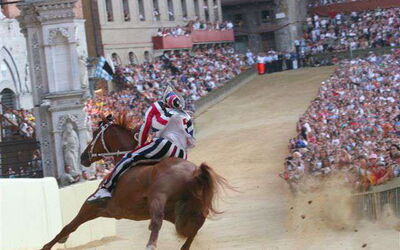 Image palio di Siena
