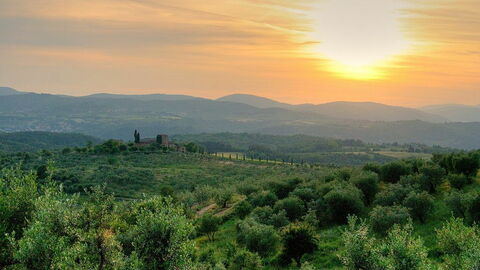 Reggello, countryside