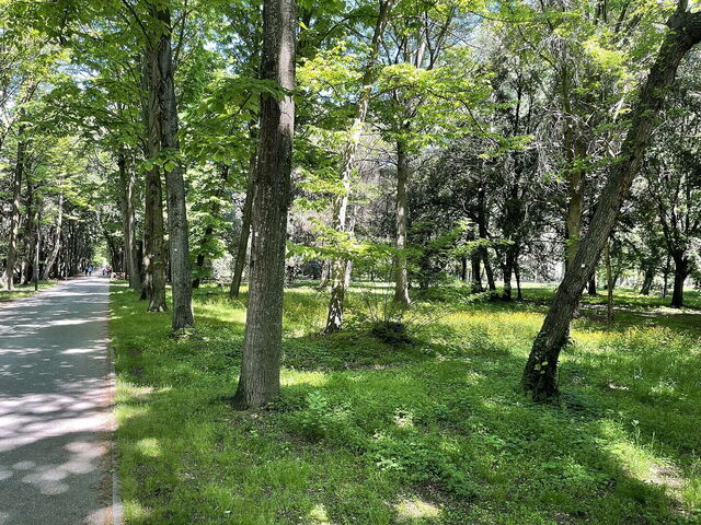 Parco Pineta di Ponente