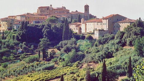 Lari Landscape