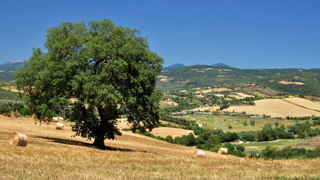 Fields in the Maremma Regional Park