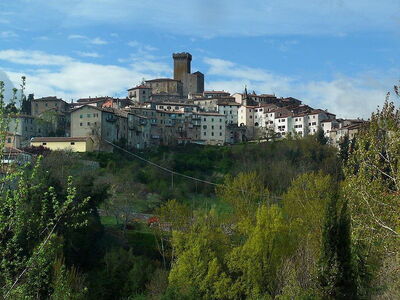 view of arcidosso town