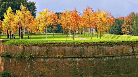 Lucca city wall gardens