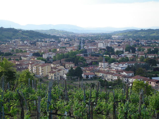 town of montevarchi