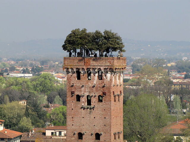 Garden of Torre Guinigi, Lucca