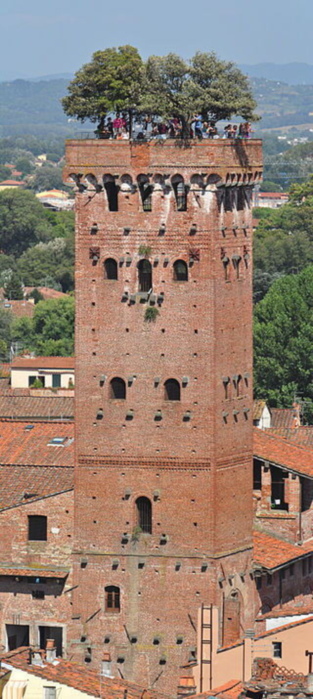 Torre Guinigi, Lucca