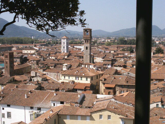 View from Torre Guinigi, Lucca