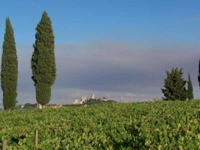 Poggetto di Montese Countryside