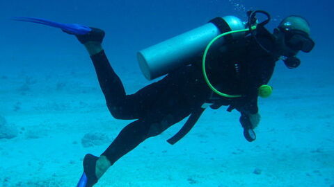 Scuba diving along the Tuscan coast
