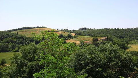 Poggibonsi Landscape