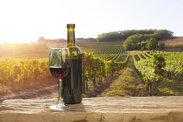 A vineyard in Chianti