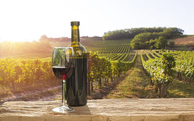 A vineyard in Chuianti