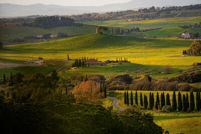 Tuscan scenery