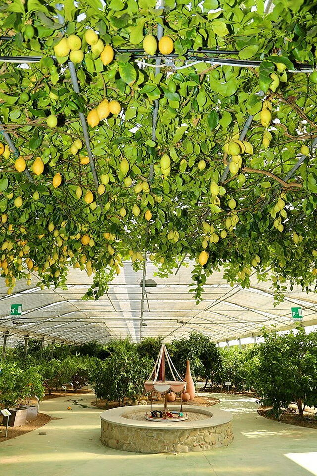 Hesperidarium Il Giardino degli Agrumi