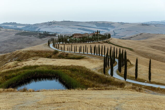 Cypress-lined roads in Tuscany