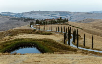 Cypress-lined roads in Tuscany