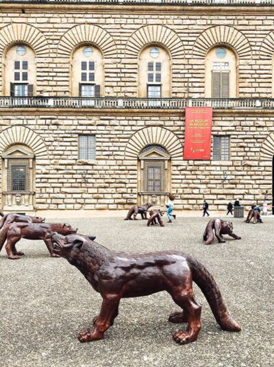 100 Wolves at the Palazzo Pitti