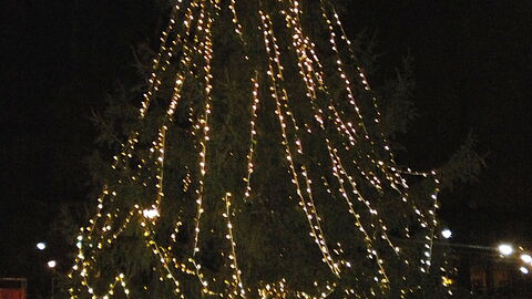 lit up christmas tree tuscany