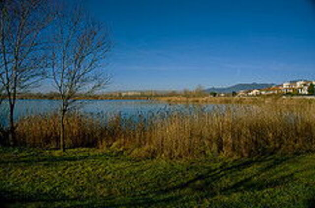 lake braccini near pontedera