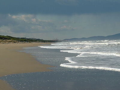 View of Blue Flag marina in Castagneto Carducci