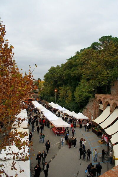 Truffle Fair, San Miniato