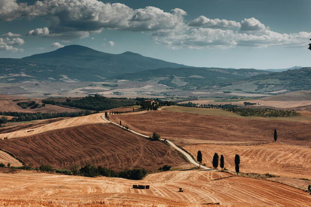 Val d'Orcia, fields