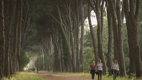 Natural Park of Migliarino San Rossore Massaciuccoli