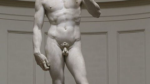 Michelangelo's David