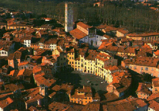 View of Lucca city