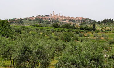 View of San Gimignano