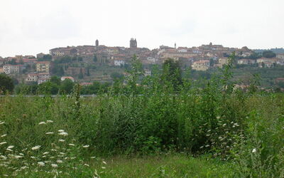 View of Monte San Savino