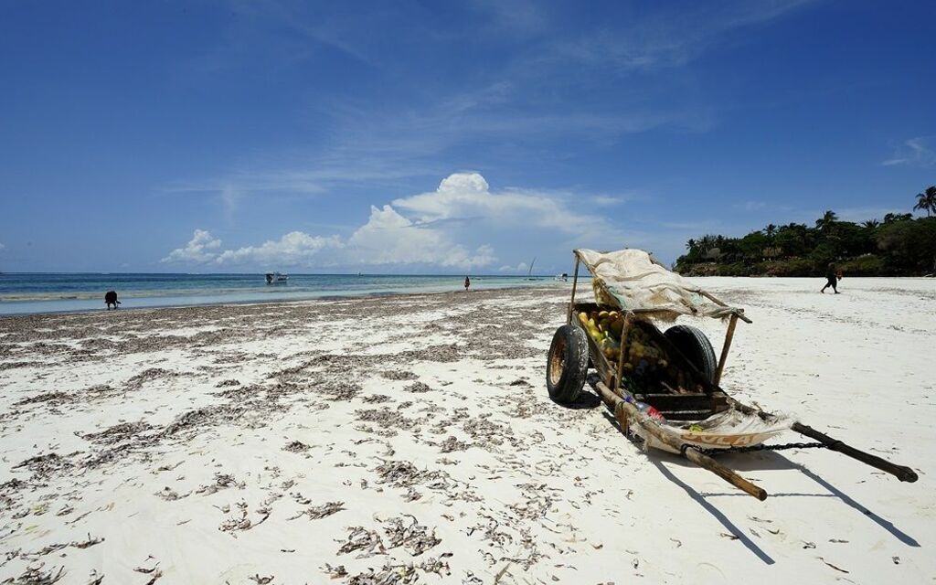 Diani