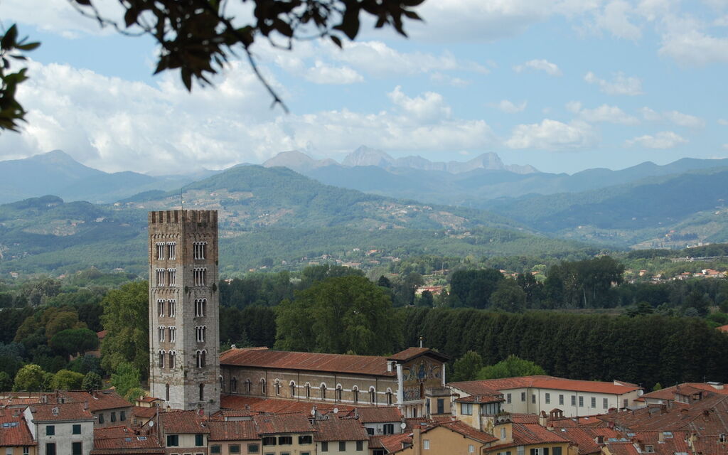 View from Guinigi Tower
