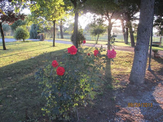 The Slow Life at Casa al Bosco