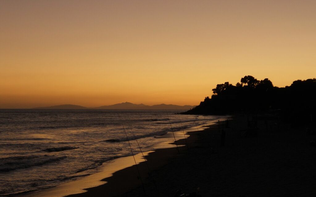 Orange Sunset