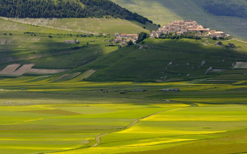 Castelluccio di Norcia