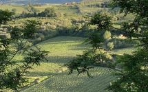 Photo submitted by guest of Villa la Vedetta