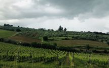 Photo submitted by guest of Villa Ferdinando