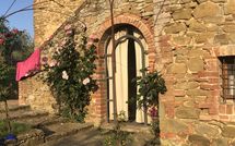 Photo submitted by guest of Podere Orietta