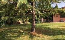 Photo submitted by guest of Casa Cipressi