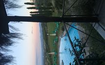 Photo submitted by guest of Montescalari