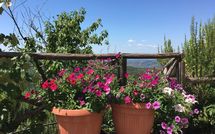 Photo submitted by guest of Casetta i Ciliegi