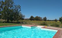 Photo submitted by guest of Il Viaggiolo