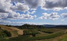 Photo submitted by guest of Certaldo