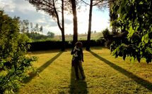 Photo submitted by guest of Pagliazzone