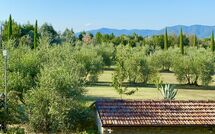 Photo submitted by guest of Galleria di Brolio