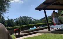 Photo submitted by guest of Camaiore 634