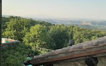 Photo submitted by guest of Podere Orietta