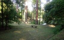 Photo submitted by guest of Villa della Nave