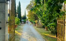 Photo submitted by guest of Tenuta Il Tresto